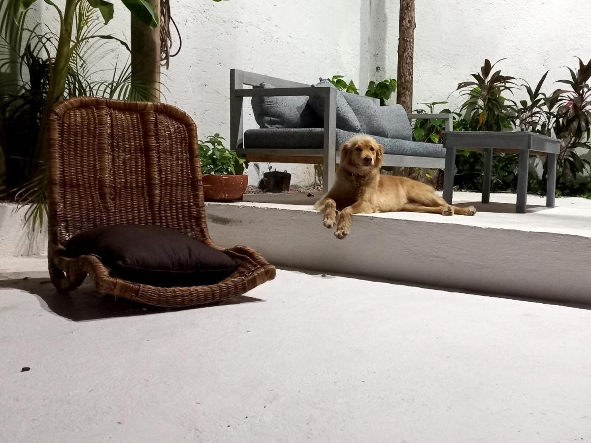 Distrito La 10 Cozumel Dış mekan fotoğraf