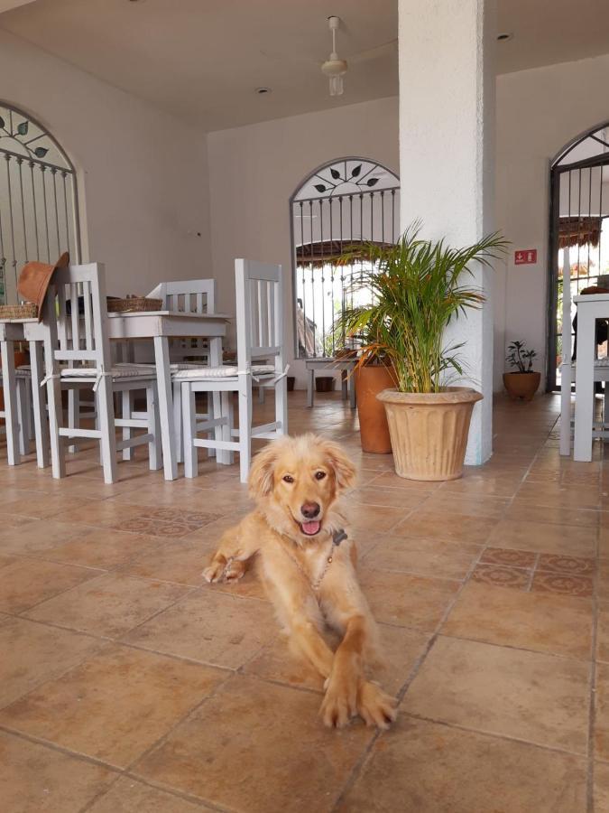 Distrito La 10 Cozumel Dış mekan fotoğraf